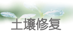 B体育·(sports)官方网站