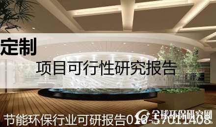 项目可研报告