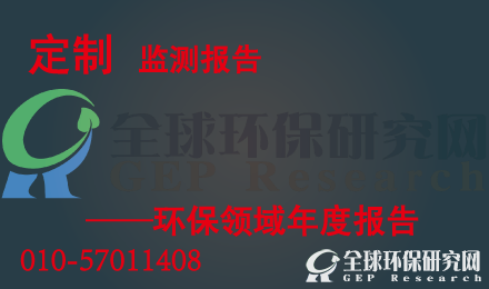 定制监测年度报告