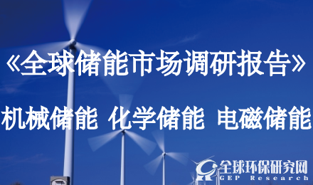 全球储能市场调研报告