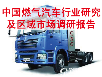 中国燃气汽车行业研究及区域市场调研报告