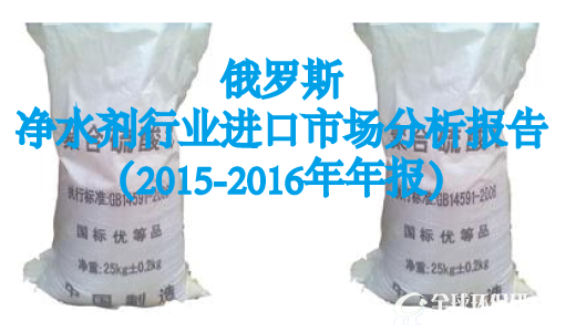 俄罗斯净水剂行业进口市场分析报告（2015-2016年年报）