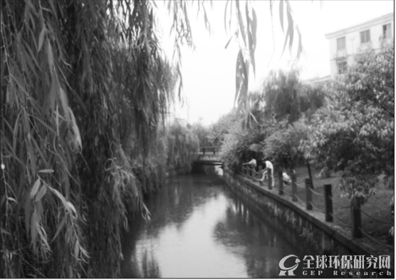 城市中度污染缓流水体净化技术示范工程大学新村河道