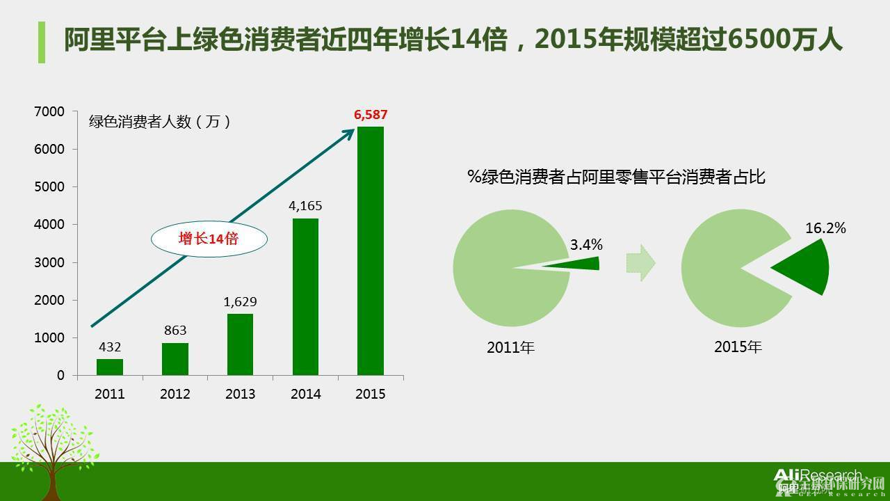 2016年度中国绿色消费者报告9