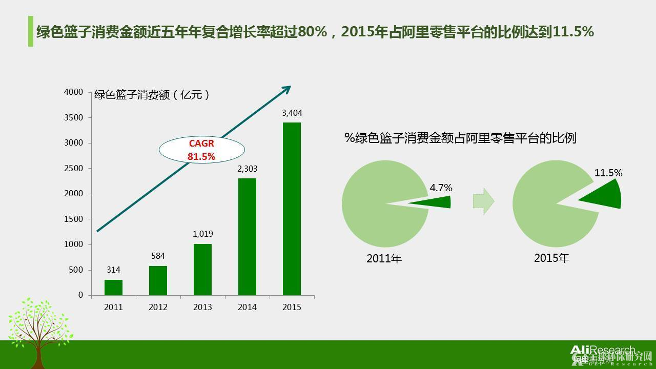 2016年度中国绿色消费者报告17
