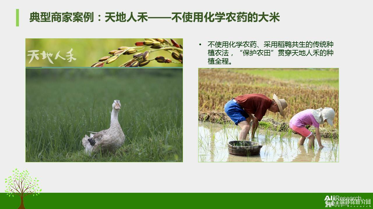 2016年度中国绿色消费者报告22