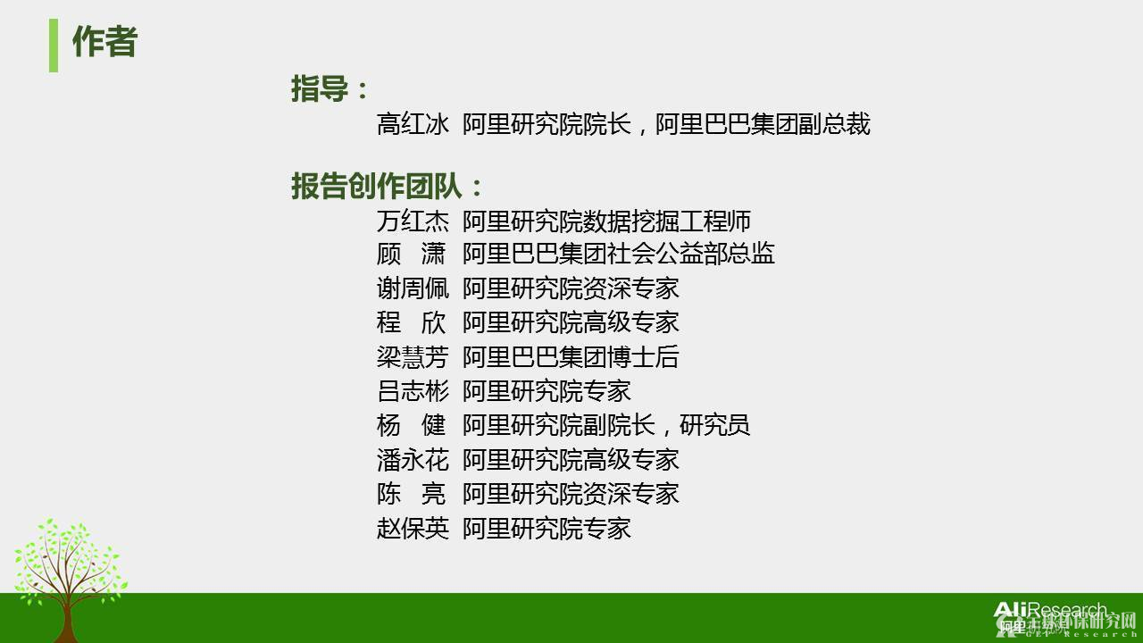 2016年度中国绿色消费者报告31