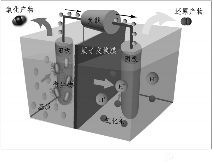图为微生物燃料电池的示意图