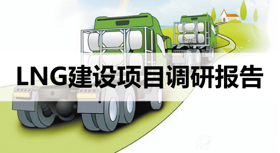 LNG建设项目调研报告