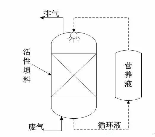 图3 生物滴滤池